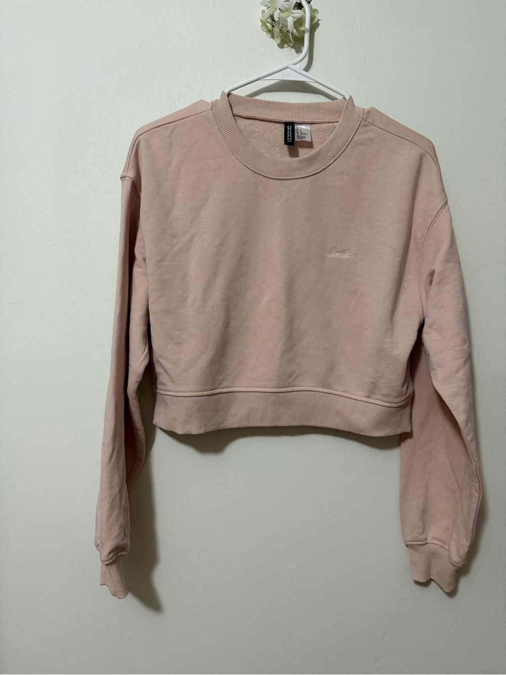 H&M Blush Pink Cropped Crewneck Sweatshirt